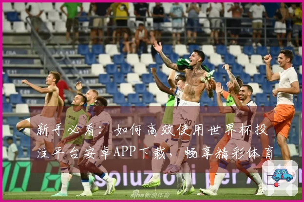 新手必看：如何高效使用世界杯投注平台安卓APP下载，畅享精彩体育直播体验