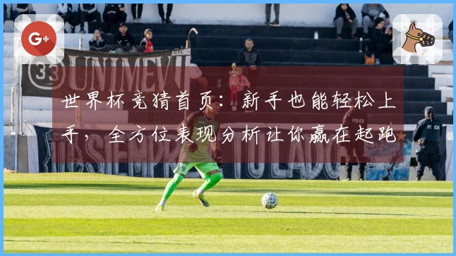 世界杯竞猜首页：新手也能轻松上手，全方位表现分析让你赢在起跑线