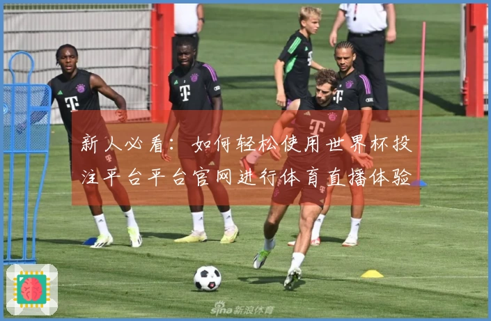 新人必看：如何轻松使用世界杯投注平台平台官网进行体育直播体验指南